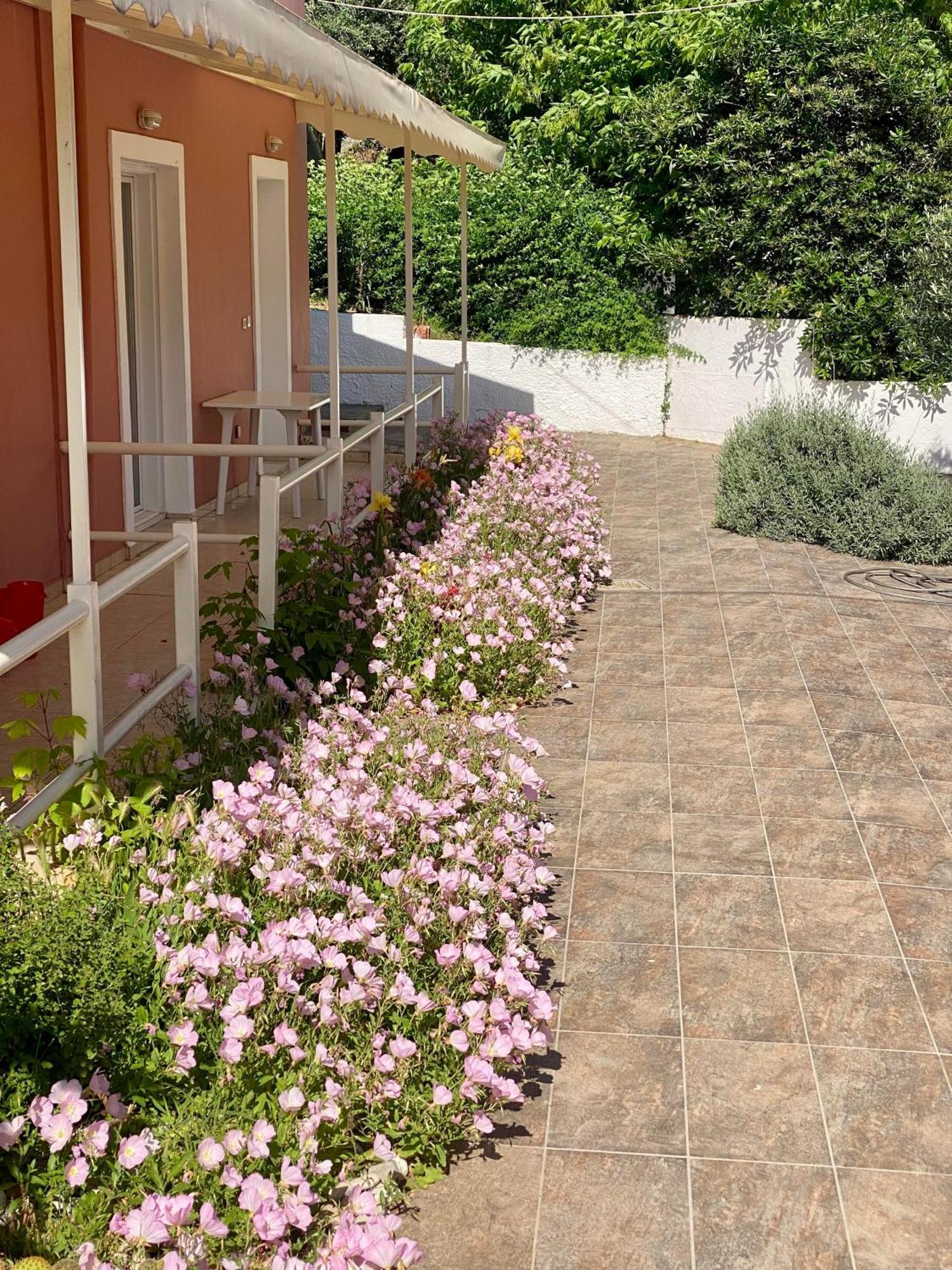 Paradiso Hotel Sea View And Pool Suites Ipsos Corfu エクステリア 写真