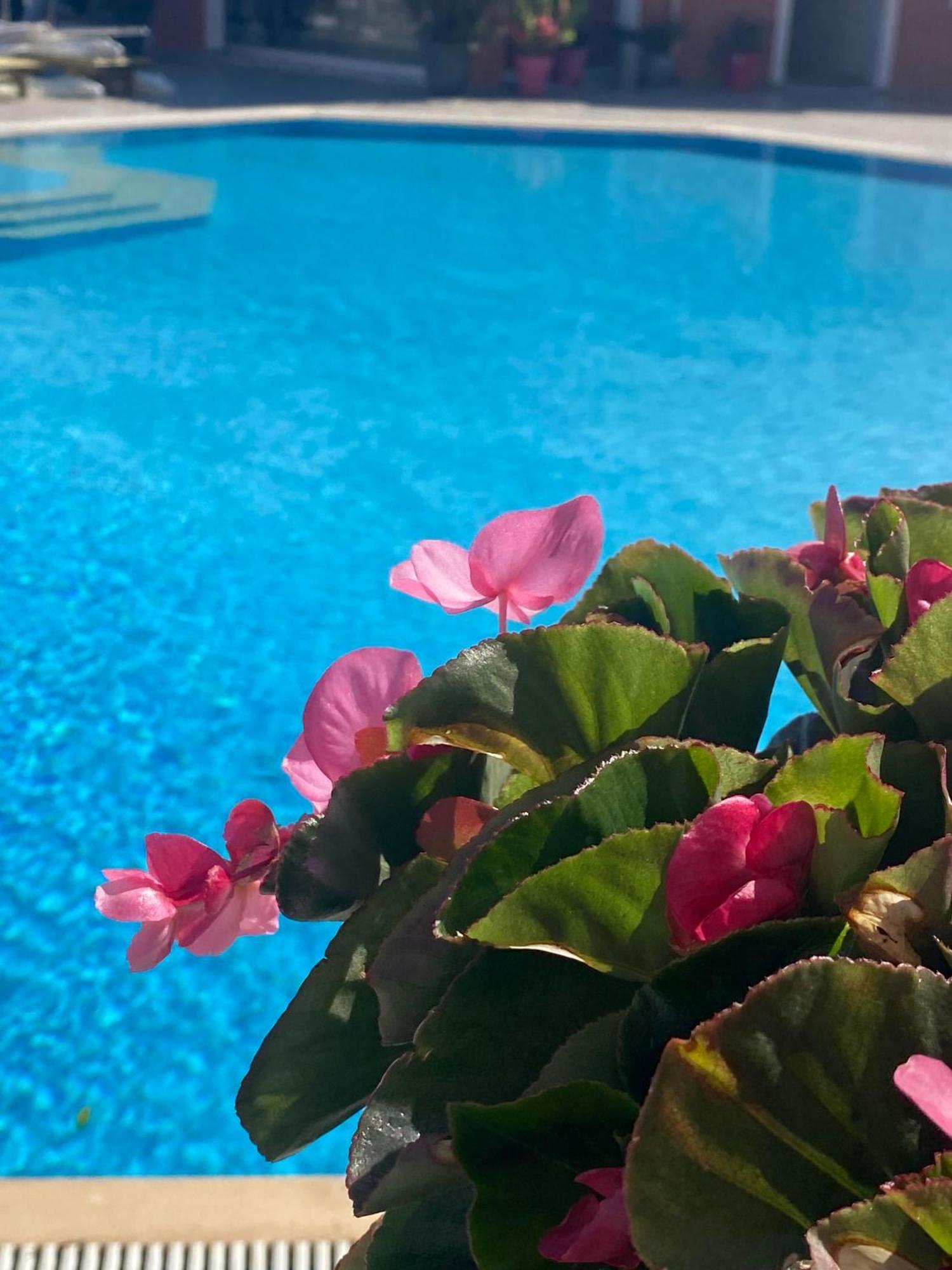 Paradiso Hotel Sea View And Pool Suites Ipsos Corfu エクステリア 写真